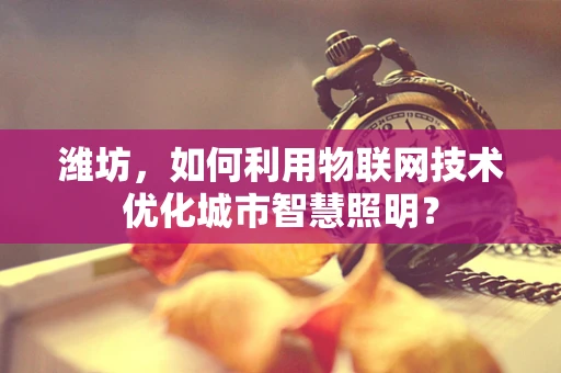 潍坊，如何利用物联网技术优化城市智慧照明？