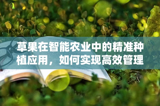 草果在智能农业中的精准种植应用，如何实现高效管理与产量提升？