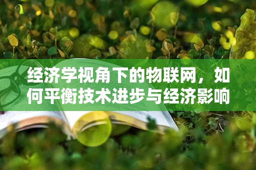 经济学视角下的物联网，如何平衡技术进步与经济影响？