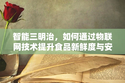 智能三明治，如何通过物联网技术提升食品新鲜度与安全？