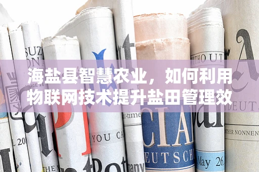 海盐县智慧农业，如何利用物联网技术提升盐田管理效率？