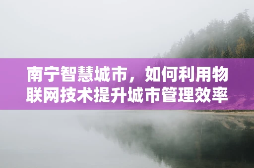 南宁智慧城市，如何利用物联网技术提升城市管理效率？