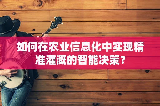 如何在农业信息化中实现精准灌溉的智能决策？