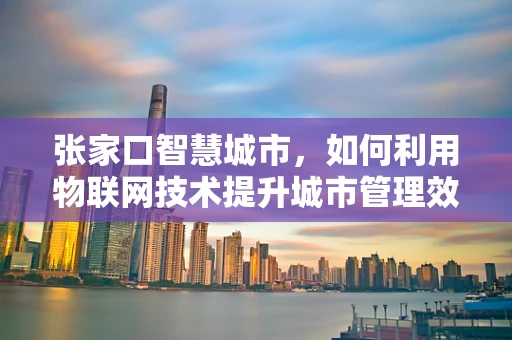 张家口智慧城市，如何利用物联网技术提升城市管理效率？