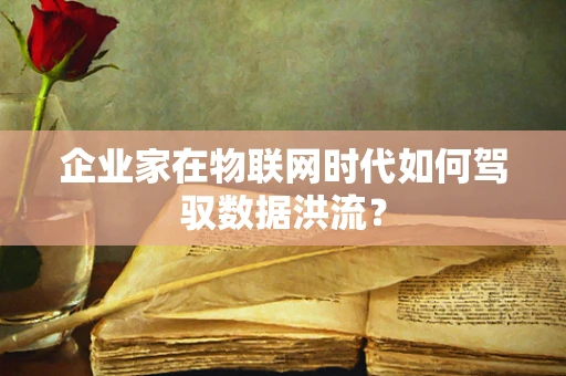 企业家在物联网时代如何驾驭数据洪流？