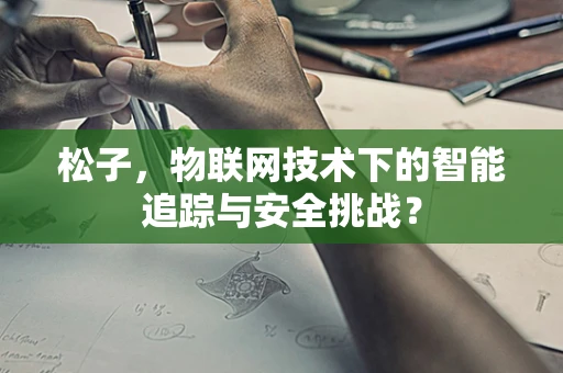 松子，物联网技术下的智能追踪与安全挑战？