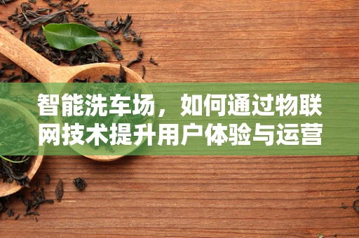智能洗车场，如何通过物联网技术提升用户体验与运营效率？