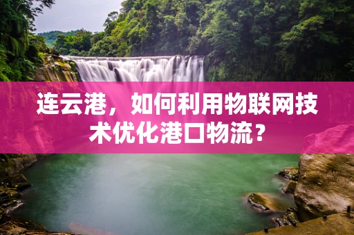 连云港，如何利用物联网技术优化港口物流？