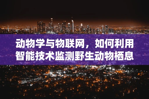 动物学与物联网，如何利用智能技术监测野生动物栖息地？