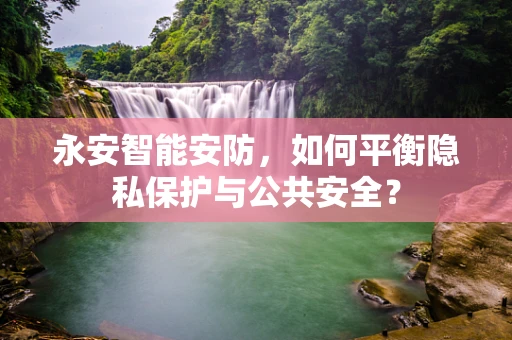 永安智能安防，如何平衡隐私保护与公共安全？