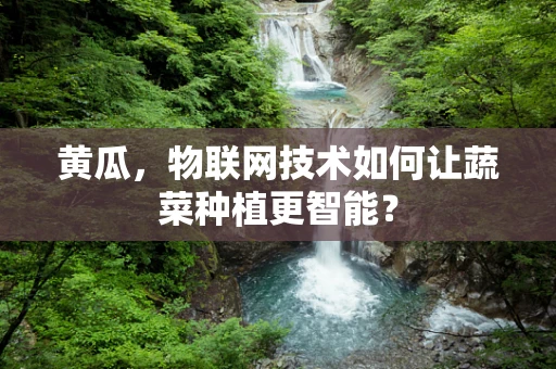 黄瓜，物联网技术如何让蔬菜种植更智能？