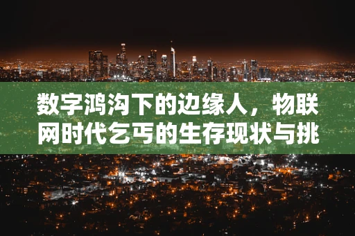 数字鸿沟下的边缘人，物联网时代乞丐的生存现状与挑战