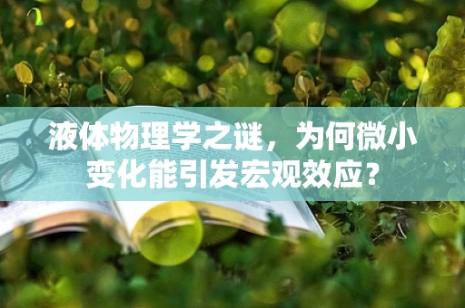 液体物理学之谜，为何微小变化能引发宏观效应？