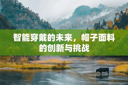 智能穿戴的未来，帽子面料的创新与挑战
