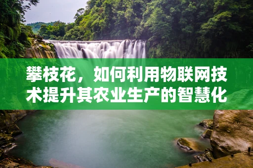 攀枝花，如何利用物联网技术提升其农业生产的智慧化水平？