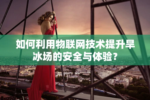 如何利用物联网技术提升旱冰场的安全与体验？