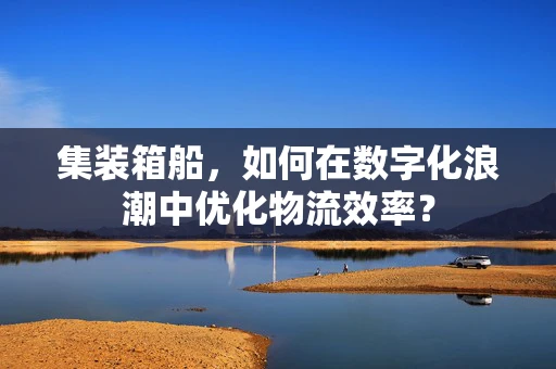 集装箱船，如何在数字化浪潮中优化物流效率？