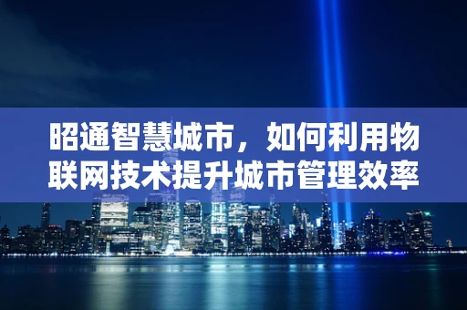 昭通智慧城市，如何利用物联网技术提升城市管理效率？