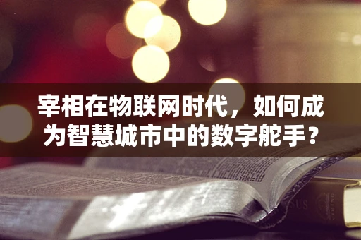宰相在物联网时代，如何成为智慧城市中的数字舵手？