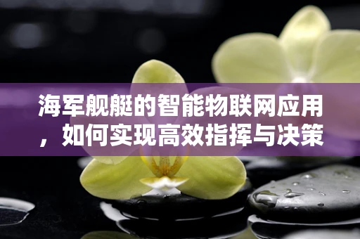 海军舰艇的智能物联网应用，如何实现高效指挥与决策？