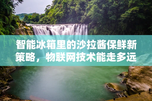 智能冰箱里的沙拉酱保鲜新策略，物联网技术能走多远？