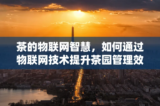 茶的物联网智慧，如何通过物联网技术提升茶园管理效率？