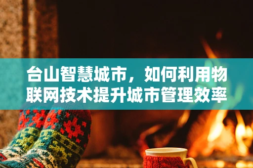 台山智慧城市，如何利用物联网技术提升城市管理效率？