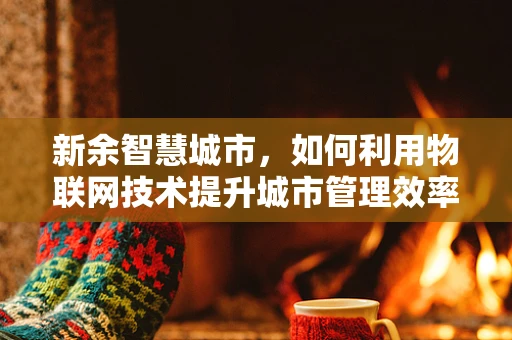 新余智慧城市，如何利用物联网技术提升城市管理效率？
