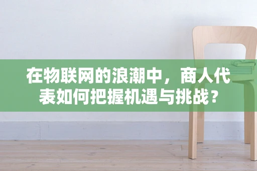 在物联网的浪潮中，商人代表如何把握机遇与挑战？