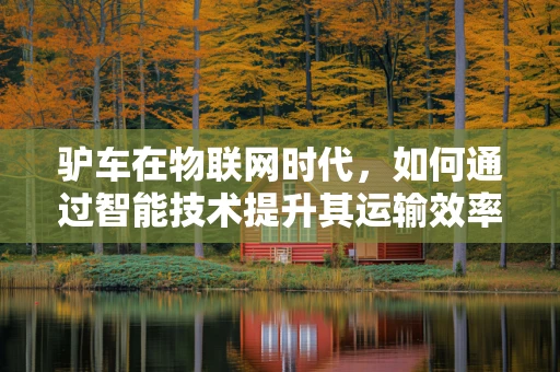 驴车在物联网时代，如何通过智能技术提升其运输效率与可持续性？