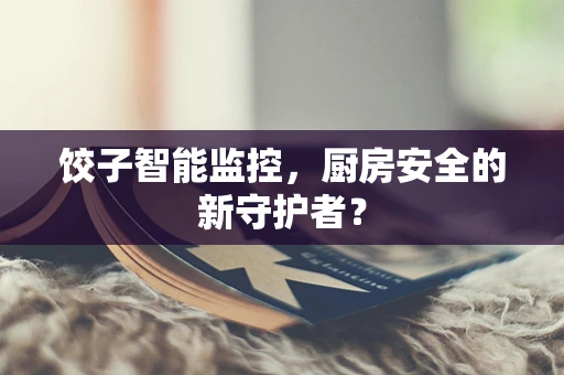 饺子智能监控，厨房安全的新守护者？