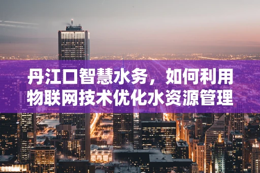 丹江口智慧水务，如何利用物联网技术优化水资源管理？