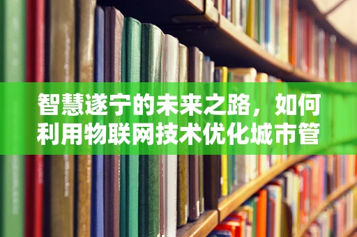 智慧遂宁的未来之路，如何利用物联网技术优化城市管理？
