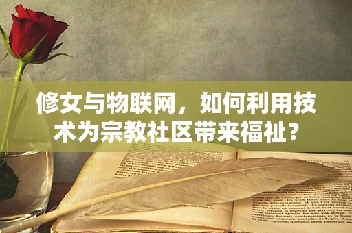 修女与物联网，如何利用技术为宗教社区带来福祉？