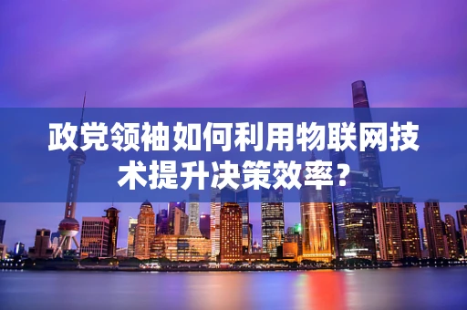 政党领袖如何利用物联网技术提升决策效率？