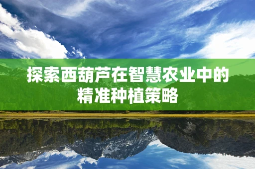 探索西葫芦在智慧农业中的精准种植策略