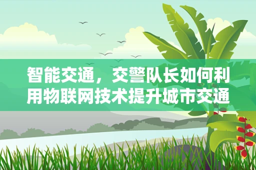 智能交通，交警队长如何利用物联网技术提升城市交通管理效率？