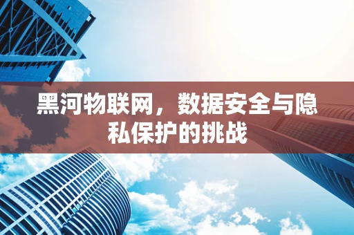 黑河物联网，数据安全与隐私保护的挑战