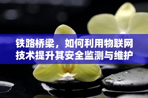 铁路桥梁，如何利用物联网技术提升其安全监测与维护效率？