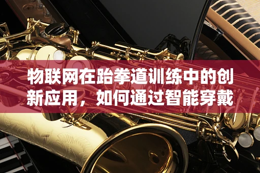 物联网在跆拳道训练中的创新应用，如何通过智能穿戴设备提升训练效率与安全？