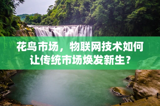 花鸟市场，物联网技术如何让传统市场焕发新生？