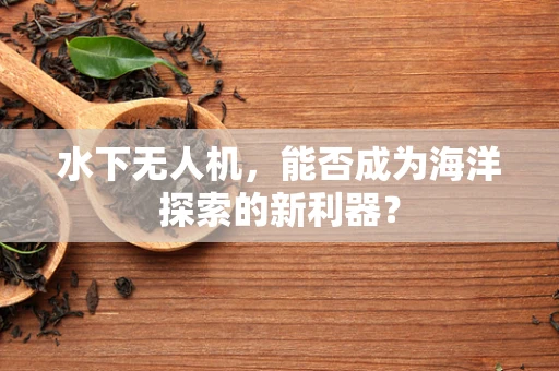 水下无人机，能否成为海洋探索的新利器？