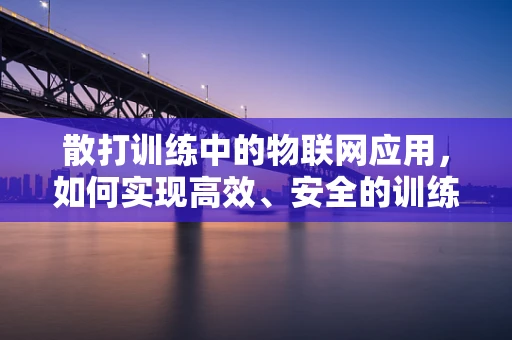 散打训练中的物联网应用，如何实现高效、安全的训练监控？
