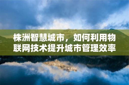 株洲智慧城市，如何利用物联网技术提升城市管理效率？