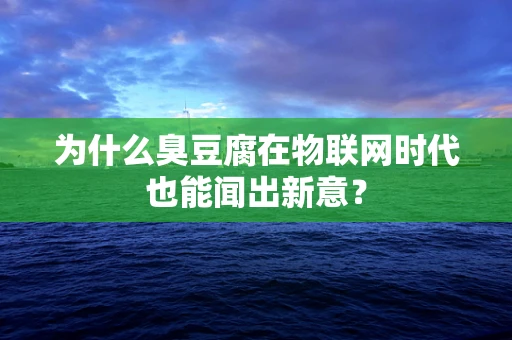 为什么臭豆腐在物联网时代也能闻出新意？
