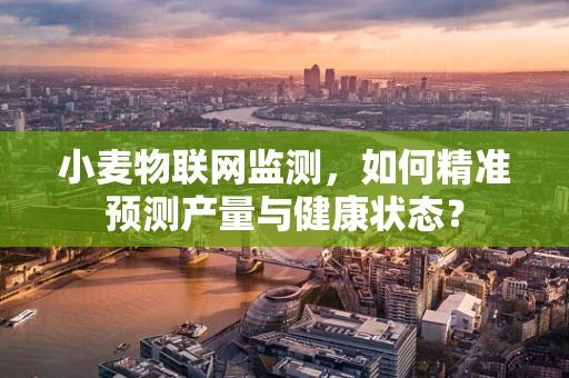 小麦物联网监测，如何精准预测产量与健康状态？