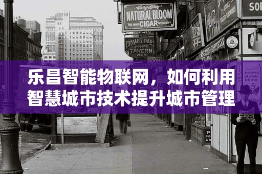 乐昌智能物联网，如何利用智慧城市技术提升城市管理效率？