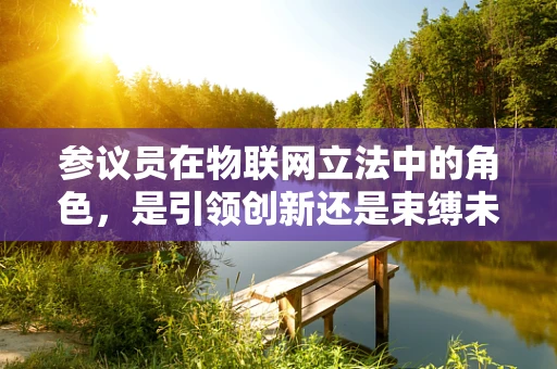 参议员在物联网立法中的角色，是引领创新还是束缚未来？
