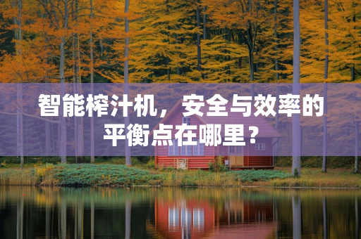 智能榨汁机，安全与效率的平衡点在哪里？