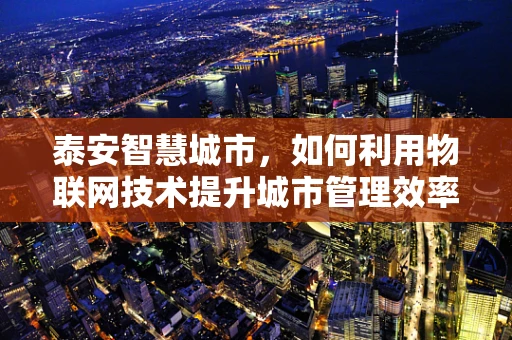 泰安智慧城市，如何利用物联网技术提升城市管理效率？